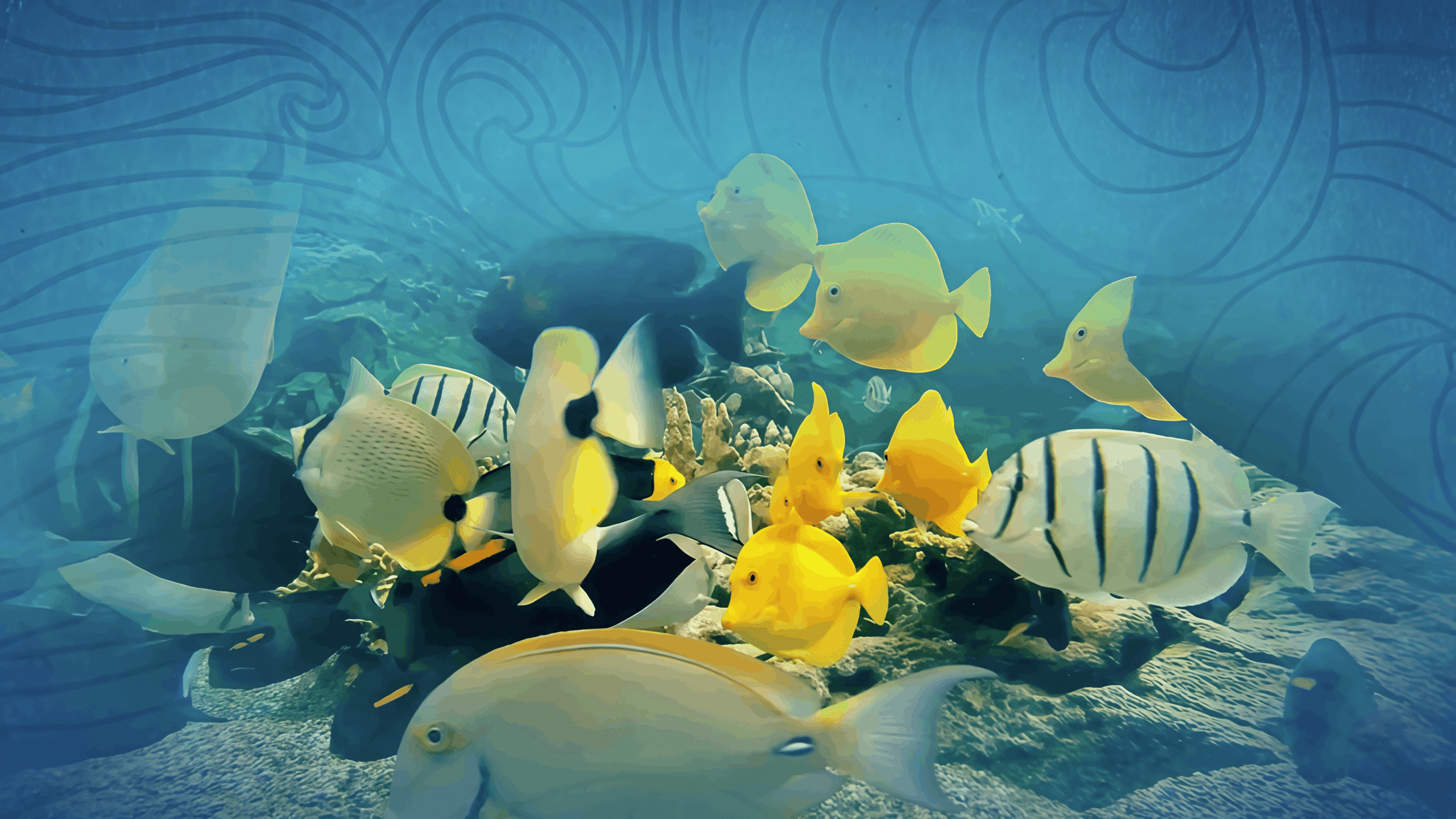 supporthawaiifishers.com